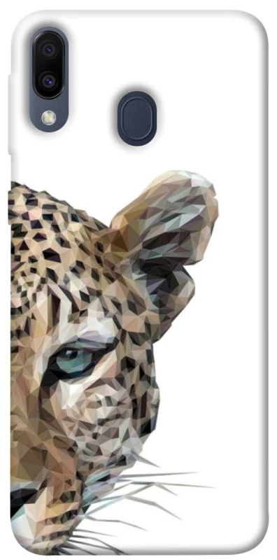 Чохол на Samsung Galaxy M20 Leopard Art v2 фото 1 з 1
