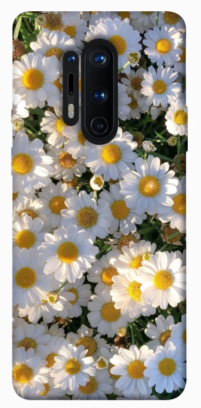 Чохол на OnePlus 8 Pro Поле ромашок фото 1 з 1
