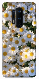 Чохол на OnePlus 8 Pro Поле ромашок фото 1 з 1