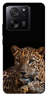 Чехол на Xiaomi 13T Pro Leopard v4 фото 1 из 1