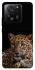 Чехол на Xiaomi 13T Pro Leopard v4 фото 1 из 1