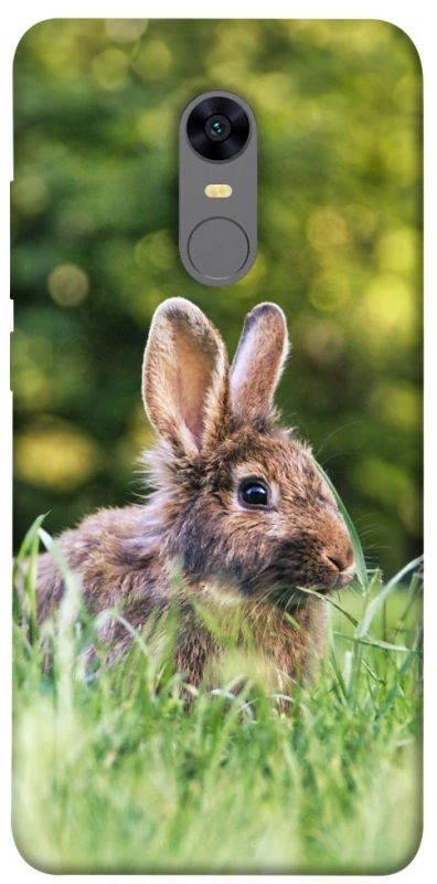 Чехол на Xiaomi Redmi 5 Plus / Redmi Note 5 (Single Camera) Кролики фото 1 из 1