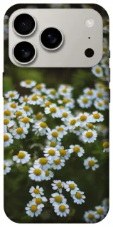 Чохол на Apple iPhone 18 Pro Ромашки v13 фото 1 з 2