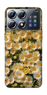 Чохол на Xiaomi POCO X8 Pro Camomile фото 1 з 1