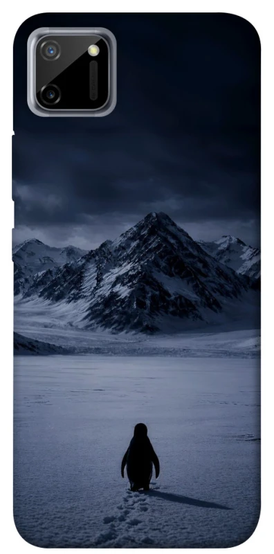 Чохол на Realme C11 But why? фото 1 з 1