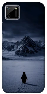 Чехол на Realme C11 But why? фото 1 из 1