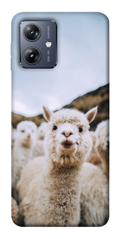 Чохол на Motorola Moto G54 Лама фото 1 Чохол на Motorola Moto G54 Лама фото 1 з 1