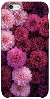 Чохол на Apple iPhone 6/6s (4.7") Garden1 фото 1 з 1