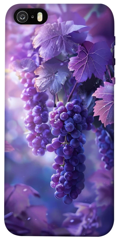 Чехол на Apple iPhone 5/5S/SE Bunch of grapes фото 1 из 1