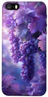 Чехол на Apple iPhone 5/5S/SE Bunch of grapes фото 1 из 1