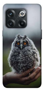 Чохол на OnePlus 10T Совеня фото 1 з 1