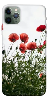 Чохол на Apple iPhone 11 Pro Max (6.5") Поле маків фото 1 з 1