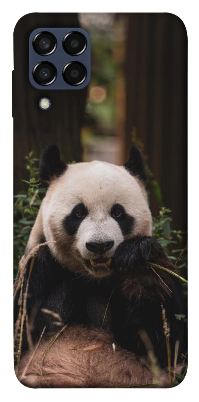 Чехол на Samsung Galaxy M33 5G Панда фото 1 из 1