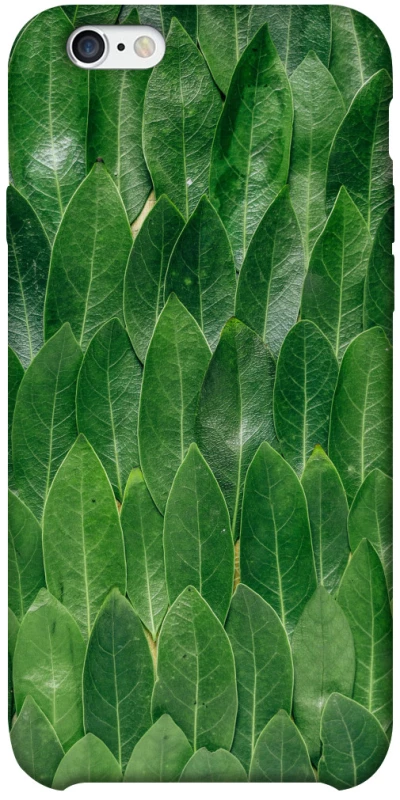Чохол на Apple iPhone 6/6s plus (5.5") Листя фото 1 з 1