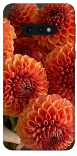 Чохол на Samsung Galaxy S10e Flower1 фото 1 з 1