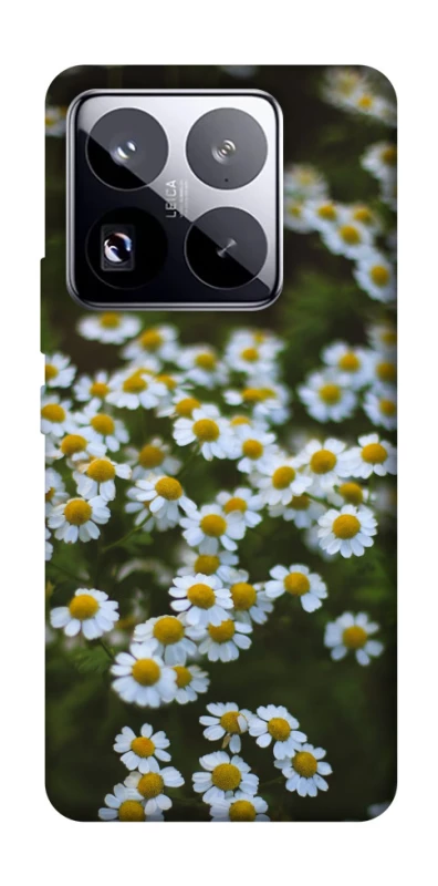Чехол на Xiaomi 15 Pro Ромашки v13 фото 1 из 1