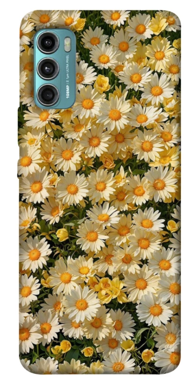 Чохол на Motorola Moto G60 Camomile фото 1 з 1