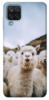 Чохол на Samsung Galaxy M12 Лама фото 1 з 1