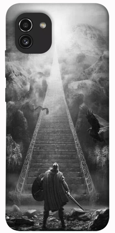 Чехол на Samsung Galaxy A03 Valhalla фото 1 из 1