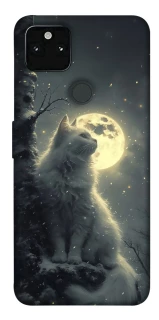 Чехол на Google Pixel 5A Кот под луной фото 1 из 1