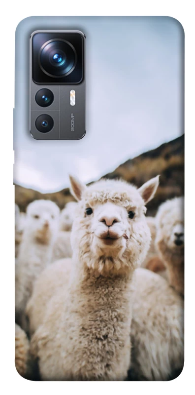 Чехол на Xiaomi 12T / 12T Pro Лама фото 1 из 1
