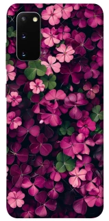 Чехол на Samsung Galaxy S20 Flowers v7 фото 1 из 1