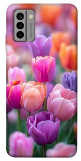 Чехол на Nokia G22 Поле тюльпанов фото 1 из 1