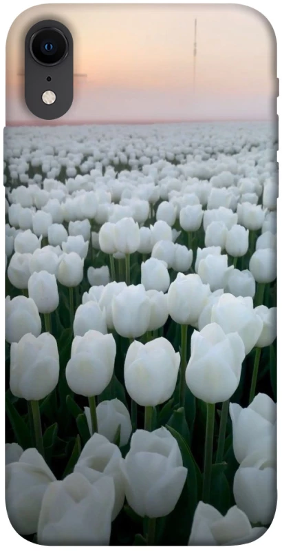 Чохол на Apple iPhone XR (6.1") Flowers v1 фото 1 з 1