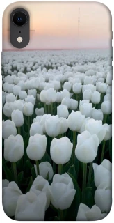 Чехол на Apple iPhone XR (6.1") Flowers v1 фото 1 Чехол на Apple iPhone XR (6.1") Flowers v1 фото 1 из 1