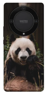 Чехол на Huawei Magic5 Lite Панда фото 1 из 1