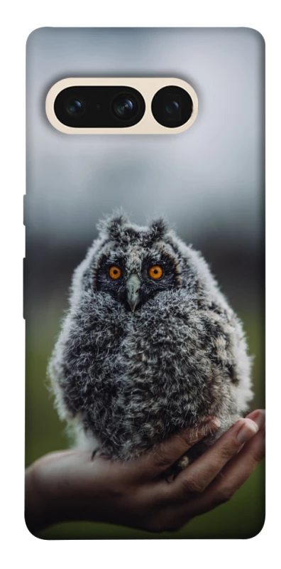 Чехол на Google Pixel 7 Pro Совёнок фото 1 из 1