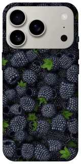 Чехол на Apple iPhone 17 Pro (6.3") Fresh фото 1 из 1