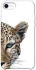 Чехол на Apple iPhone SE (2020) Leopard Art v2 фото 1 из 1