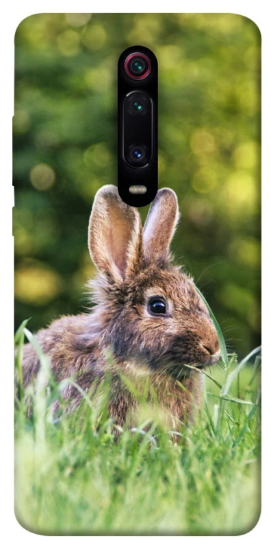 Чехол на Xiaomi Redmi K20 / K20 Pro / Mi9T / Mi9T Pro Кролики фото 1 из 1