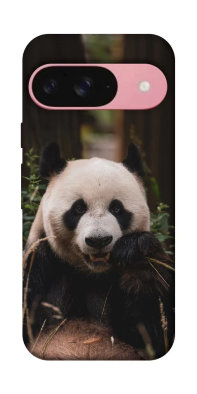Чохол на Google Pixel 9 Панда фото 1 з 1
