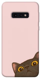 Чохол на Samsung Galaxy S10e Peeping cat фото 1 з 1