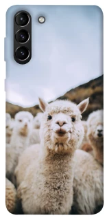 Чохол на Samsung Galaxy S21+ Лама фото 1 з 1