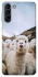 Чохол на Samsung Galaxy S21+ Лама фото 1 з 1