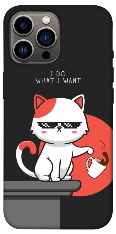 Чохол на Apple iPhone 12 Pro Max (6.7") I do what i wont фото 1 з 1