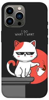 Чохол на Apple iPhone 12 Pro Max (6.7") I do what i wont фото 1 з 1