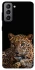 Чохол на Samsung Galaxy S21 FE Leopard v4 фото 1 з 1