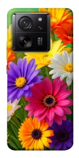 Чохол на Xiaomi 13T Flowers v32 фото 1 з 1