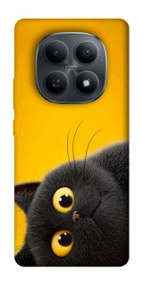 Чохол на Xiaomi Redmi Note 15 4G/5G (EU) This is Cat фото 1 з 1
