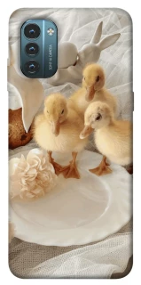 Чохол на Nokia G21 Easter Vibes фото 1 з 1