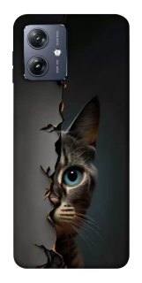 Чохол на Motorola Moto G54 Кіт-підглядач v2 фото 1 Чохол на Motorola Moto G54 Кіт-підглядач v2 фото 1 з 1