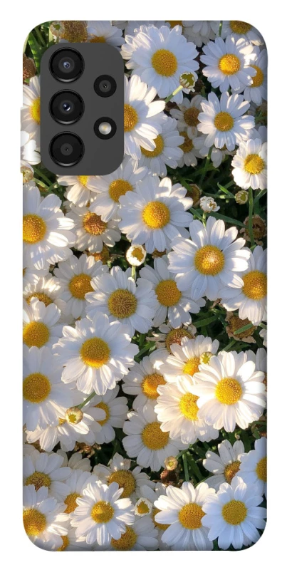 Чохол на Samsung Galaxy A13 4G Поле ромашок фото 1 з 1