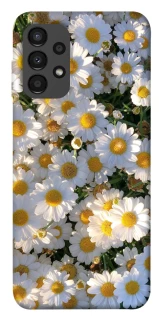 Чохол на Samsung Galaxy A13 4G Поле ромашок фото 1 з 1
