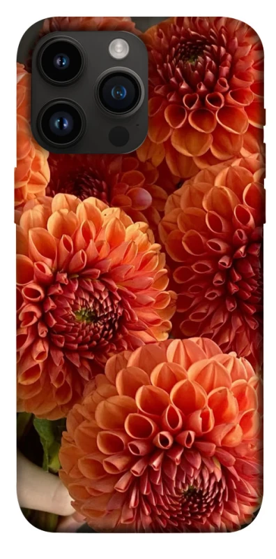 Чохол на Apple iPhone 14 Pro Max (6.7") Flower1 фото 1 з 1