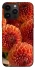 Чохол на Apple iPhone 14 Pro Max (6.7") Flower1 фото 1 з 1