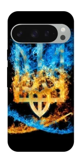 Чохол на Google Pixel 10 Pro XL Герб v16 фото 1 з 1